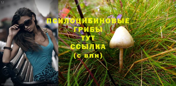 марки nbome Алексеевка