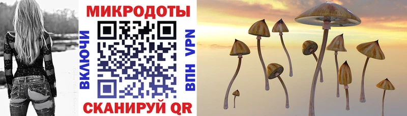 купить  цена  Кострома  OMG маркетплейс  Псилоцибиновые грибы ЛСД 