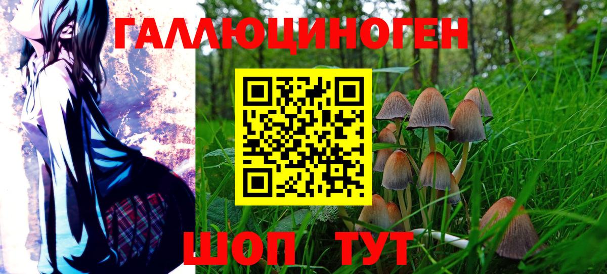 Галлюциногенные грибы мухоморы Кострома