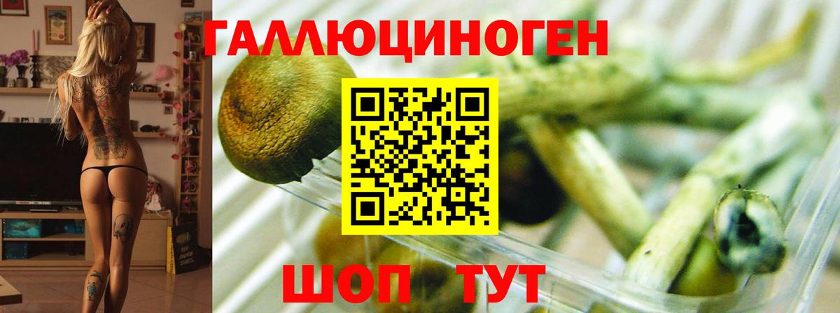 цены наркотик  Псилоцибиновые грибы ЛСД  Вход с VPN  Кострома 