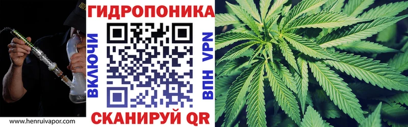 где купить наркоту  Кострома  Шишки марихуана VHQ 